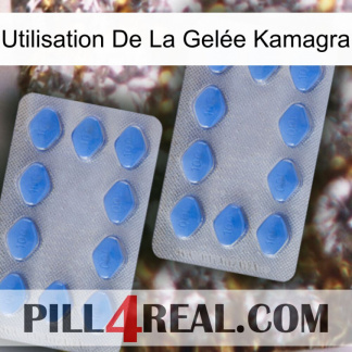 Utilisation De La Gelée Kamagra 20